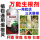 Powerful rooting solution imported from Germany, green plant rooting and seedling strengthening agent, potted flowers, vegetables, succulents, hydroponics, seven days for rooting, three days for rooting, 30g, 1 bottle