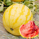 Dayu Yellow Heart Watermelon Seeds Complete Collection Early Maturity Yellow Skin Red Flesh Yellow Flesh Special Xiaofeng Watermelon Seeds Southern Fruit Futian Jinlinglong Watermelon Seeds 30 Simple Packs
