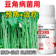 Gengfengwang bean disease medicine, bean special medicine, epidemic disease, leaf spot disease, fusarium wilt, powdery mildew virus disease, anthracnose, 100 ml (5 acres)