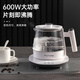 FUNORK tea kettle steam spray health kettle insulated black tea steam tea kettle office tea and water all-in-one smart model 0.8L