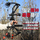 A Great ShooterAGS Shooter Carbon 30 Compound Bow and Arrow High Precision Archery Adult Hunting Non-Carbon Machsius PSE Archery Bow Black Gold Carbon 30-Glory Typhoon Set
