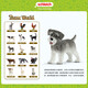 Schleich S simulation animal model cat dog boy girl children toy gift enlightenment cognition 3+ mini schnauzer 13892
