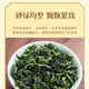 轩中鹤【铁观音】安溪铁观音乌龙茶花香浓郁自己喝送长辈 铁观音5g*1袋【亏本试喝】