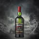 雅柏（Ardbeg）苏格兰单一麦芽威士忌酒进口洋酒阿贝小怪兽泥煤烟熏风味 阿贝 5年小怪兽 700ml 裸瓶