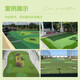 Co-create lawn golf green grass indoor and outdoor golf artificial turf fitness environmental protection gate court curved turf simulation golf B type