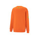 PUMA Men's Lifestyle Knitted Sweater 539968-23 Orange-23 L (180/100A) Asian Code L