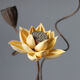 AIMAN dried lotus flower bouquet lotus lotus real flower Zen style air-dried Chinese flower arrangement living room decoration ornaments to attract wealth Combination 1 (without bottle)