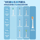 Philips (Philips) Cepillo de dientes eléctrico, parejas adultas dan a niños/novias, regalo de cumpleaños, 10 veces la extracción de placa, 1 cabezal de cepillo, caja de regalo Pro de la Serie Diamond 9