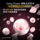 Qingyang (transparente) Shandruff Shampoo 1.2kg, fragancia de la flor de cerezo tipo 1200G, fragancia duradera [KPL E-Sports]