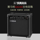 Yamaha Audio GA15II Electric Acoustic Guitar Bass Box Speaker Playing and Singing Original Distortion Mix GA15II Guitar Speaker