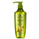 Schwarzkopf Ginger Essence Shampoo Contrôle de l'huile de type 600 ml [Décage d'expiration]