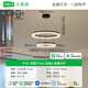 大观园（DGY）客厅吊灯2025新款意式极简高端大气高级感轻奢现代简约圆环灯686O 双层-已接入米家APP-111W-全光谱