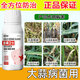 Gengfengwang garlic special agent garlic medicine garlic special medicine dry tip yellow leaf rot treatment plus 20 ml (1 mu of land)