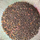 Newly collected Chinese prickly ash seeds, authentic Hancheng Dahongpao Zanthoxylum bungeanum, Lion’s head pepper seeds, Zanthoxylum bungeanum seeds, Dahongpao Zanthoxylum bungeanum seeds, one Jin Jin is equal to 0.5 kilograms