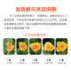 Jingdong flowers rose Aisha 10 stems soilless cultivation branch length 50-55cm gift flower Shandong base source straight