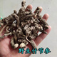 Beijing Tongrentang Bambú salvaje Ginseng Bambú Pintura de montaña Bambú Siete Bambú Panax Notoginseng Arhat Panax Notoginseng Medicina de hierbas chinas Bai San Wild Bamboo Ginseng 50G