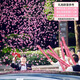 HIP KISSINGS LETS MOUDAINE Pétal salon Petal Rain Fireworks Supplies Collection de salon Mariage Pétal Papez Bouteille de ruban de tambour Pink Fun [Perne Petal Rain] 60 Modèles 4