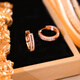 DL 1998 Rose Gold Earrings Temperament Earrings 2024 New Micro-Inlaid Fashionable Versatile Earrings Double Layer Round TS-220121
