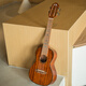 
Andrew Ukulele Beginner's Little Guitar 26-inch [Vector] Retro Color