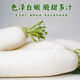 White radish, fresh in season, freshly dug, crispy, sweet and juicy, farm-grown and eaten raw, crispy, sweet and refreshing. White radish 5Jin Jin is equal to 0.5kg.