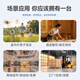 BAOFENG [Dual-table] BF-999PLUS Intercom Classic Version One-click Frequency BF-888S Series Upgraded Edition Small Business Outdoor High-Power Long-Distance Mobile Station
