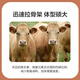 East China Zhengda 4% beef cattle and sheep premixed calf and lamb fattening cattle and sheep material to fatten and gain weight, pull the skeleton without diarrhea, 1 bag of beef cattle special material
