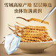 Tongrentang Brand Beijing Tongrentang Cordyceps Cordyceps Boîte-cadeau haut de gamme Nutritional Nutritional Offition cadeau Elders 1 Box 3G [Commande 1 Gram Cordyceps] Environ 5 pièces / gramme