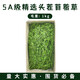 
Anshe alfalfa grass rabbit food purple flowers and hay young rabbits eat guinea pigs special rabbit food feed 9A alfalfa grass gross weight 690g 25 years first