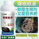 Explosive root liquid, special seedling strengthening agent for strong rooting, root nourishing and mulching, regulating soil activator, water-soluble fertilizer 1000g*2 bottles