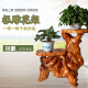 
Pupan Shengyu direct sale solid wood root carved shelf natural tree roots whole multi-layer bonsai fish tank base original 15921 double layer