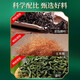 Peking Tongrentang Qingqianliu Maisschal und Maulbeerblatt Tee mit Pueraria-Wurzelblut-Zuckerguss und Fettdruckmedizin Harnsäure Chrysantheme Tee Gesundheit Tee in Wasser und trinken zusammen [30 kleine Pakete * 3 Kisten]