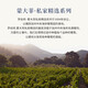 托卡蒙大菲（ROBERT MONDAVI）私家精选赤霞珠干红葡萄酒美国原瓶进口 私家精选朗姆桶陈酿梅洛红葡萄酒