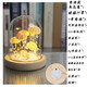 FENGLANQ Sea Urchin Shell Jellyfish Lamp Material Pack Creative Night Light Atmosphere Lamp Team Building Activities Handmade DIY Gift Sea Urchin Jellyfish Night Lamp - Battery Type 5 sea urchins 5W and below