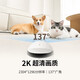 
Enable whole house mobile walking camera ebo companion robot remote remote control wireless surveillance camera rola mini pet companion toy robot ROLA Mini-32G (can be stored for 2-3 days)