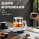 FUNORK tea kettle steam spray health kettle insulated black tea steam tea kettle office tea and water all-in-one smart model 0.8L