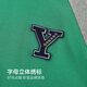 Yeehoo Kinder Sweatshirts Jungen Kleidung Herbst Fashion Casual Kapuze Langarmed Tops Herbst Neue Kleidung mittelgroß und große Kinderkleidungsbuchstaben Emerald Green 150