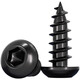 Tianzhuo Hardware black 304 stainless steel round head hexagonal self-tapping screws pan head flat head extended wood screws M2-M8 black 304-M3*10 20 pcs