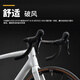 
PARDUS Ruibao Road Bike SUPER SPORT DISC Carbon Fiber R7020 Large Set of Hydraulic Disc Brake Bending Bicycle Pearl Dark Green L