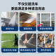 德国洗车高压水枪高压洗车水枪高压水枪洗车用无线锂电洗车水枪 680W 六档【双电20节】10米+桶箱