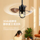 
Mingdenghui Restaurant Balcony Clothes Room Entrance Small Bedroom Inverter Frequency Home Fan Light American Industrial Style Small Ceiling Fan Light Frequency 22-693A Black 3 Leaf + Single-Head Remote Control