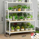 Ximofang [753 rachat] Balcone de fer Balconie Stand de fleurs intérieure salon étage de fleur de fleur de plancher balcon de plantation de légumes nanzhu nanzhu rack blanc une couche 60 hauteur 10 largeur 25-nanzhu