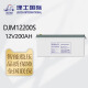 LEOCH理士蓄电池DJM12200S铅酸免维护12V200AH机房UPS/EPS船舶光伏电瓶 DJM12200S（12V200AH)