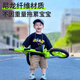 凤凰灯光儿童平衡车 1-3-6岁宝宝滑行学步车小孩滑步车无脚踏自行单车 【20种灯光款】12寸 极光绿+礼包