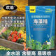 Huaneng seaweed essence powder contains humic acid water-soluble fertilizer for organic fruits, vegetables and flowers, general rooting and seedling fertilization