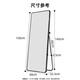 Quanpinwu dressing mirror full-body mirror floor-standing wall-mounted bedroom entrance fitting mirror aluminum alloy rounded corner internet celebrity large mirror 150