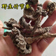 Beijing Tongrentang Bambú salvaje Ginseng Bambú Pintura de montaña Bambú Siete Bambú Panax Notoginseng Arhat Panax Notoginseng Medicina de hierbas chinas Bai San Wild Bamboo Ginseng 50G