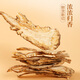 Nantong Sihai Nanjing Tongrentang whole Angelica tablets Angelica head with sulfur-free wild Angelica Chinese medicinal materials authentic qi and blood raw Angelica nourishing