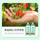 Bee Flower Herbal Essence Shampoo 1L Moisturizing Silky Shampoo Nourishing Soft and Softening Men and Women's Hair Shampoo
