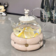 
Xibaisheng moving house gift high-end practical cup set for gifts for people warm house tea set wedding gifts for newlyweds 1 cup and 1 disc [1289] ordinary packaging