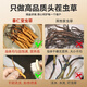 秦仁堂冬虫夏草 5根/g 4克 约20根礼盒装送礼佳品营养品冬虫夏草礼盒